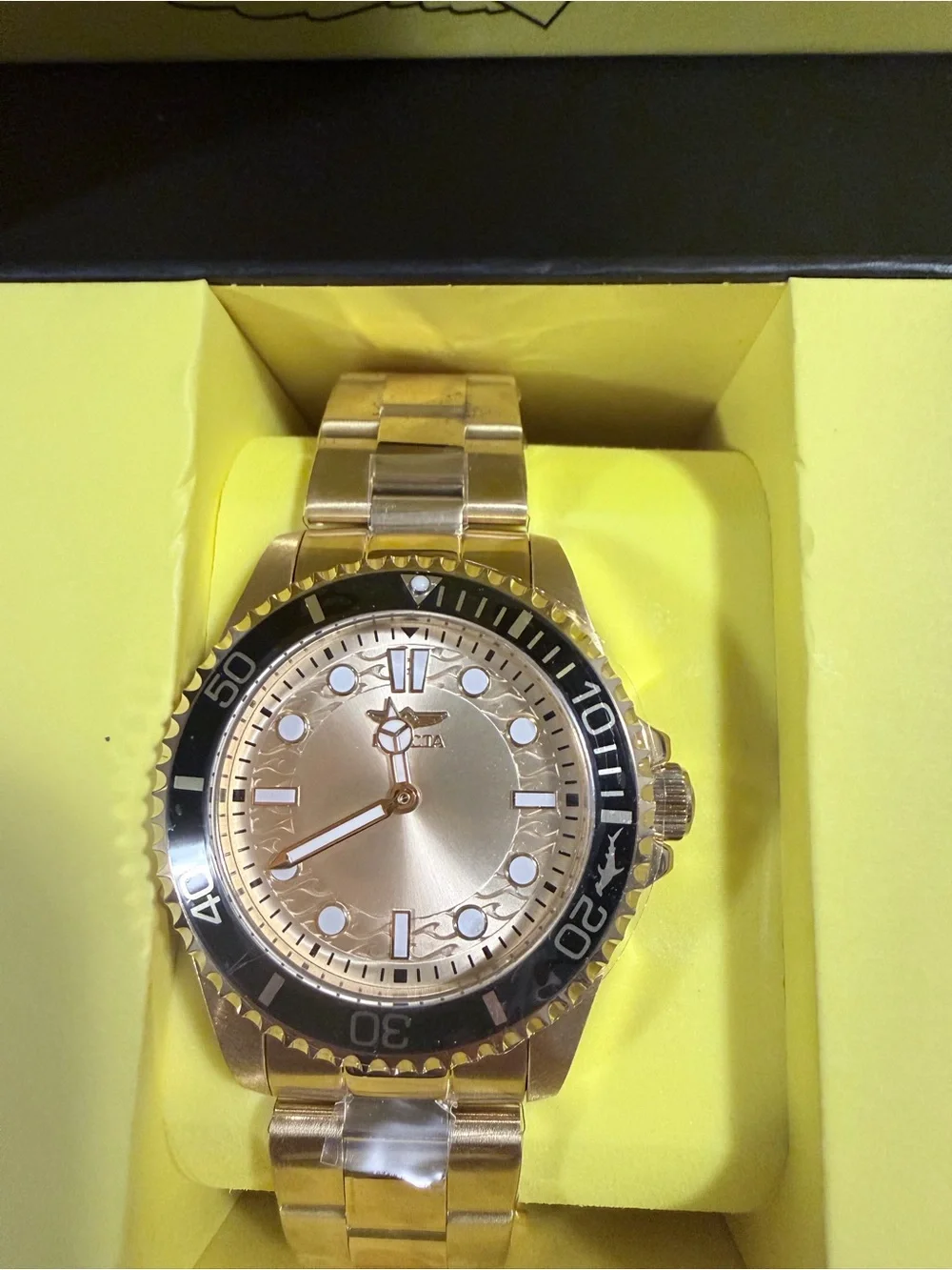 The Invicta Pro Diver 